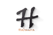 logo_02